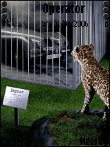 jaguar