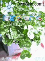 夏日清新