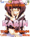 karin