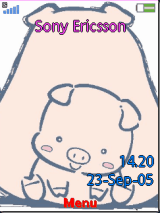 Cute PIG