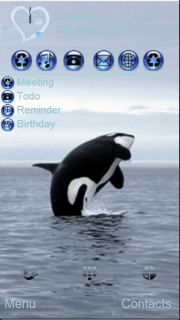 Killer whale