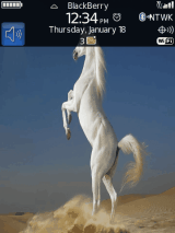 horses
