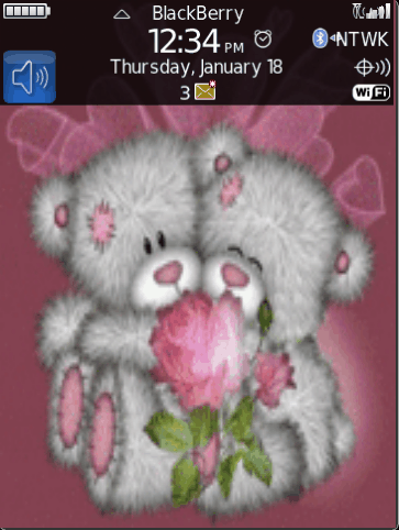 Bear
