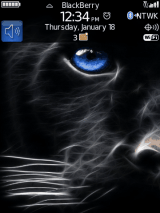 Black Tiger
