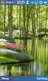 Nature 
