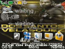 ufc 155
