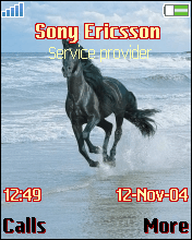 horse