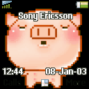 pig