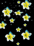 flower rain animated