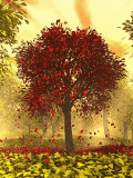tree red