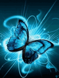 ANMTD~BUTTERFLY